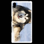 Coque Personnalisée Sony Xpéria Z5 Chien d'Alaska