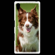 Coque Personnalisée Sony Xpéria Z5 Chien Colley marron et blanc