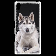 Coque Personnalisée Sony Xpéria Z5 Chien Husky de Sibérie