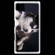 Coque Personnalisée Sony Xpéria Z5 Chiot Husky de Sibérie
