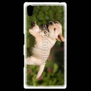 Coque Personnalisée Sony Xpéria Z5 Chiot labrador 3