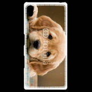Coque Personnalisée Sony Xpéria Z5 Chiot labrador golden 2