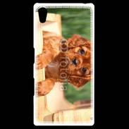 Coque Personnalisée Sony Xpéria Z5 Chiot King Charles 2