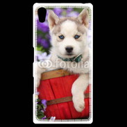 Coque Personnalisée Sony Xpéria Z5 Portrait chiot Husky de Sibérie 1