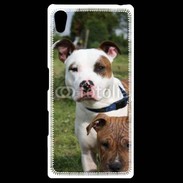 Coque Personnalisée Sony Xpéria Z5 Chien Staffordshire