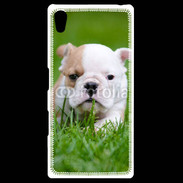 Coque Personnalisée Sony Xpéria Z5 Petit Bulldog anglais