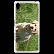 Coque Personnalisée Sony Xpéria Z5 Mignon petit labrador