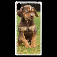 Coque Personnalisée Sony Xpéria Z5 Chiot marron 2