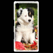 Coque Personnalisée Sony Xpéria Z5 Adorable chiot Border collie