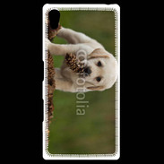 Coque Personnalisée Sony Xpéria Z5 Chiot labrador avec pomme de pin