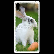 Coque Personnalisée Sony Xpéria Z5 Lapin et carotte