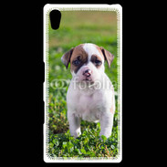 Coque Personnalisée Sony Xpéria Z5 Chiot American Staffordshire terrier 