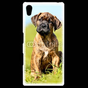 Coque Personnalisée Sony Xpéria Z5 Portrait d'un mastiff