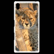 Coque Personnalisée Sony Xpéria Z5 Jeune félin