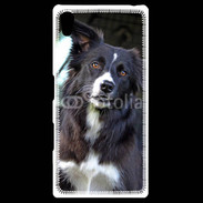 Coque Personnalisée Sony Xpéria Z5 Border collie 500