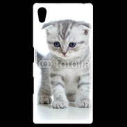 Coque Personnalisée Sony Xpéria Z5 Chaton gris en balade