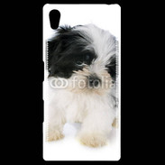 Coque Personnalisée Sony Xpéria Z5 Chiot Shitzu 100