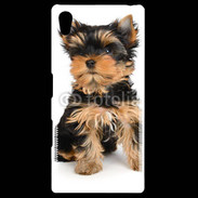 Coque Personnalisée Sony Xpéria Z5 Yorkshire terrier 15