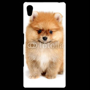 Coque Personnalisée Sony Xpéria Z5 Chiot Spitz 15