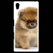Coque Personnalisée Sony Xpéria Z5 Chiot Pomeranian 15