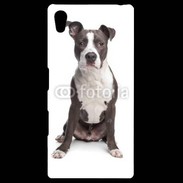 Coque Personnalisée Sony Xpéria Z5 American Staffordshire Terrier puppy