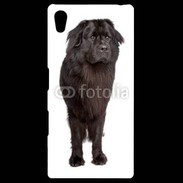 Coque Personnalisée Sony Xpéria Z5 Terre Neuve 510