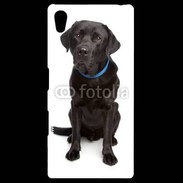 Coque Personnalisée Sony Xpéria Z5 Labrador noir adulte 600