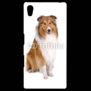 Coque Personnalisée Sony Xpéria Z5 Chien Colley 500