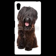 Coque Personnalisée Sony Xpéria Z5 Briard adulte 600