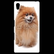 Coque Personnalisée Sony Xpéria Z5 Keeshond 500
