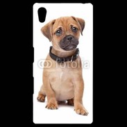 Coque Personnalisée Sony Xpéria Z5 Cavalier king charles 700