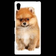 Coque Personnalisée Sony Xpéria Z5 Spitz Dog 800