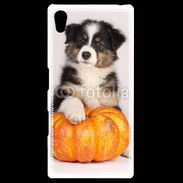 Coque Personnalisée Sony Xpéria Z5 Chiot Berger Australien 25