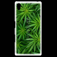 Coque Personnalisée Sony Xpéria Z5 Feuilles de marijuana