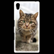 Coque Personnalisée Sony Xpéria Z5 Portrait de chat PR