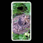 Coque Nokia Lumia 640 LTE Lapin sauvage PB 1