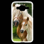 Coque Samsung Core Prime Cheval et poulain