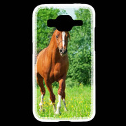 Coque Samsung Core Prime Cheval arabe robe marron et blanche