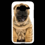 Coque Samsung Core Prime Sharpei