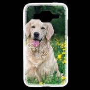 Coque Samsung Core Prime Portrait de Chien Golden 5