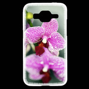 Coque Samsung Core Prime Belle Orchidée PR 50