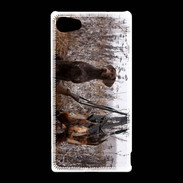 Coque Sony Xperia Z5 Compact Chien de chasse 1