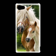 Coque Sony Xperia Z5 Compact Cheval et poulain