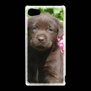 Coque Sony Xperia Z5 Compact Chien labrador chocolat 3