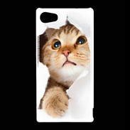 Coque Sony Xperia Z5 Compact Chaton caché