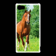 Coque Sony Xperia Z5 Compact Cheval arabe robe marron et blanche