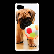 Coque Sony Xperia Z5 Compact Bull mastiff chiot