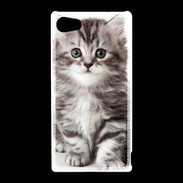 Coque Sony Xperia Z5 Compact Chaton gris 