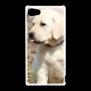 Coque Sony Xperia Z5 Compact Adorable labrador