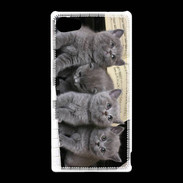 Coque Sony Xperia Z5 Compact Chatons musiciens